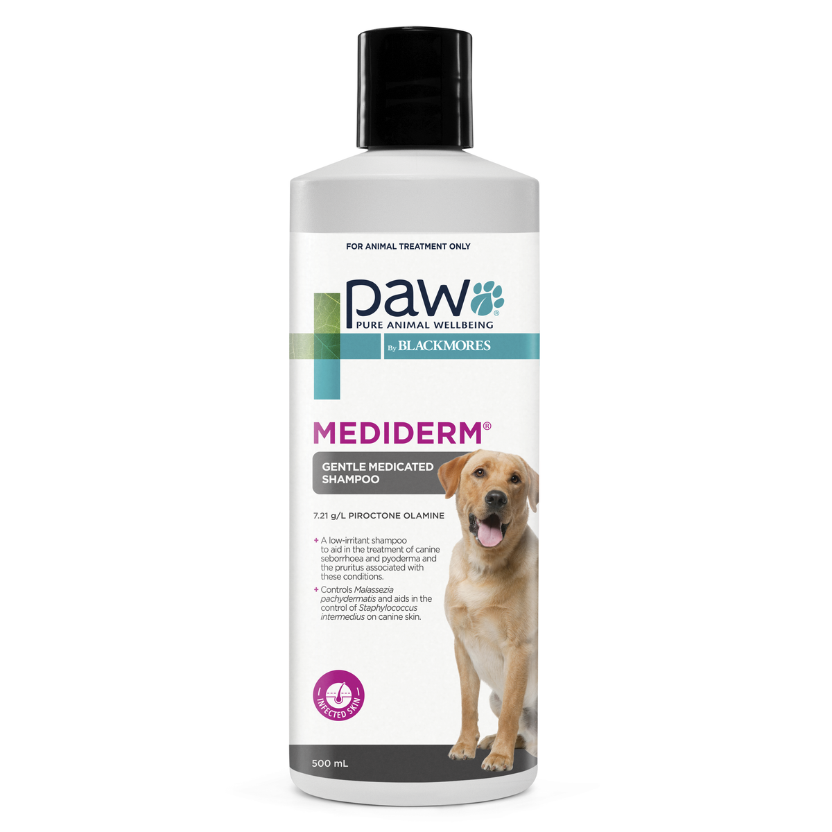 OTC PAW Canine; MediDerm Gentle Medicated Shampoo; 狗用溫和藥用洗髮水