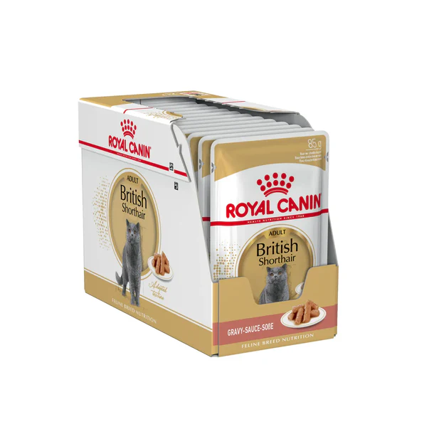 FOTC Royal Canin Feline; British Shorthair Adult Pouch; 英國短毛成貓專屬袋裝濕糧 12包