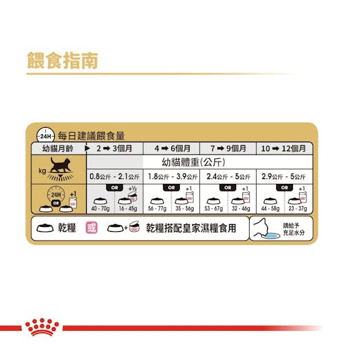 FOTC Royal Canin Feline; British Shorthair Kitten; Special formula for British shorthair kittens