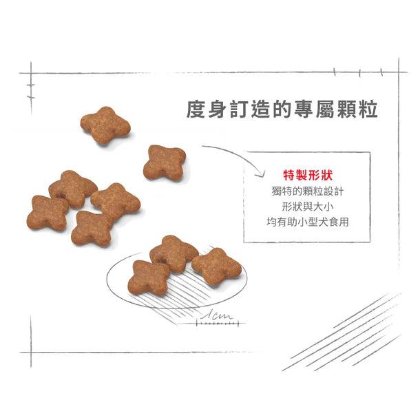 FOTC Royal Canin Canine; Mini Adult 8+; 小型成犬8+營養配方