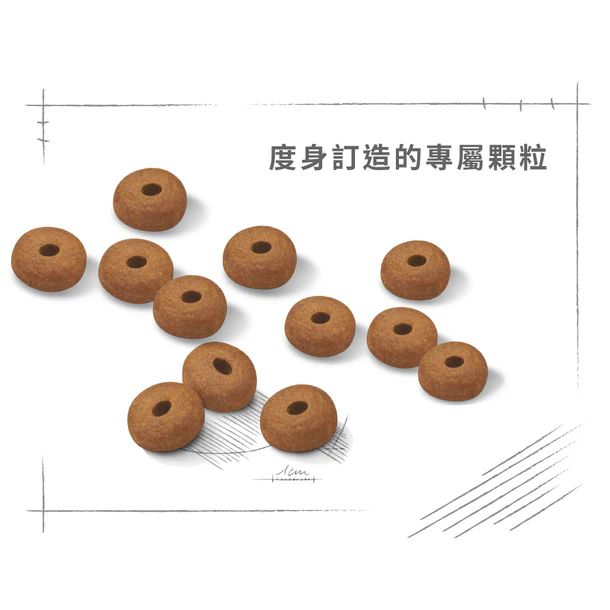 FOTC Royal Canin Canine; Maxi Light Weight Care; 大型成犬加護系列體重控制配方