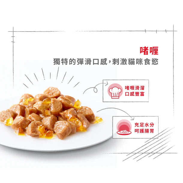 FOTC Royal Canin Feline; Sterilised Jelly Pouch; 成貓絕育配方袋裝濕糧(啫喱)