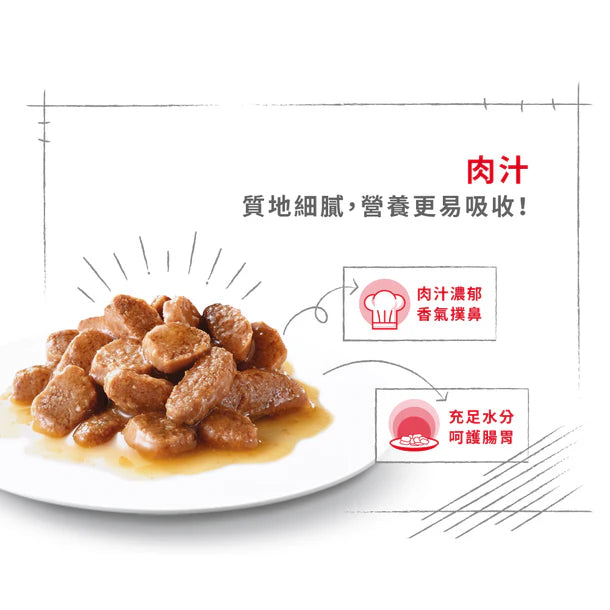 FOTC Royal Canin Canine; Mini Adult Gravy Pouch; 小型成犬營養袋裝濕糧(肉汁)