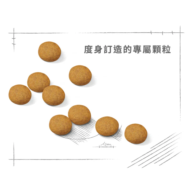 FOTC Royal Canin Canine; Medium Dermacomfort; 中型成犬加護系列皮膚敏感配方