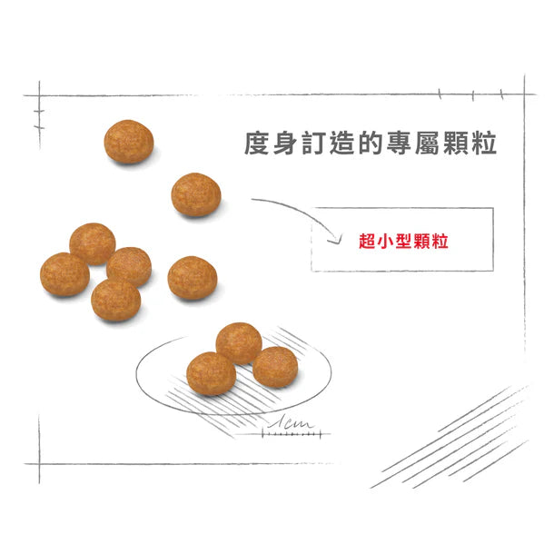 FOTC Royal Canin Canine; X-Small Adult 8+; 超小型成犬8+營養配方