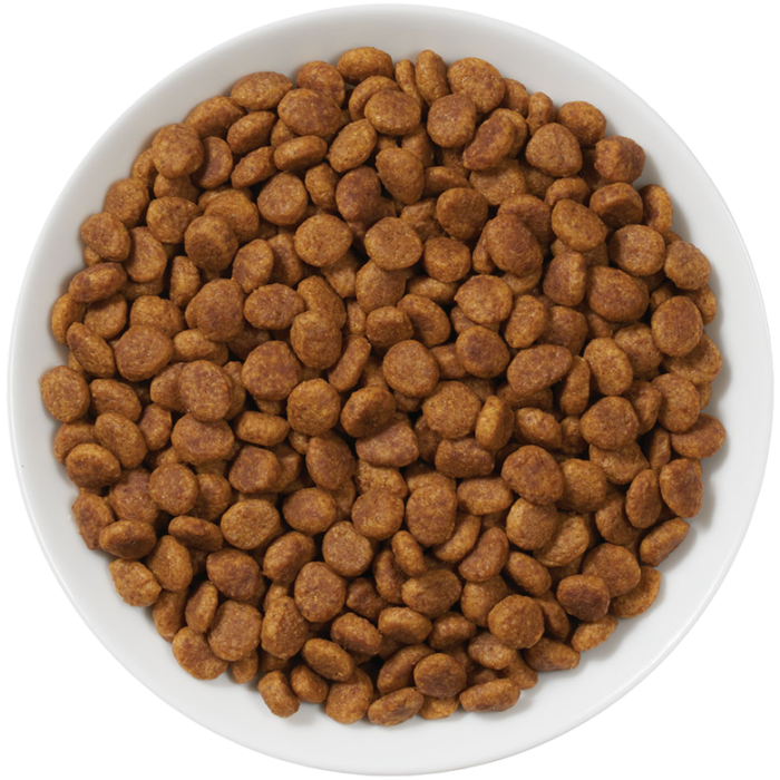 Purina Pro Plan Feline; NF Kidney Function Advanced Care Feline Formula; 貓用腎臟加強護理配方