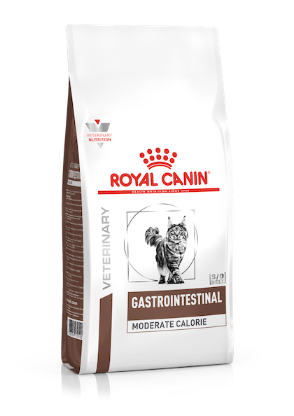 Royal canin shop pancreas