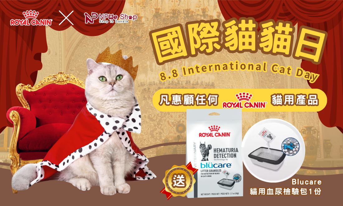 😸年度貓界盛事🎉買貓糧送您家用血尿檢驗包🎁(優惠已結束)