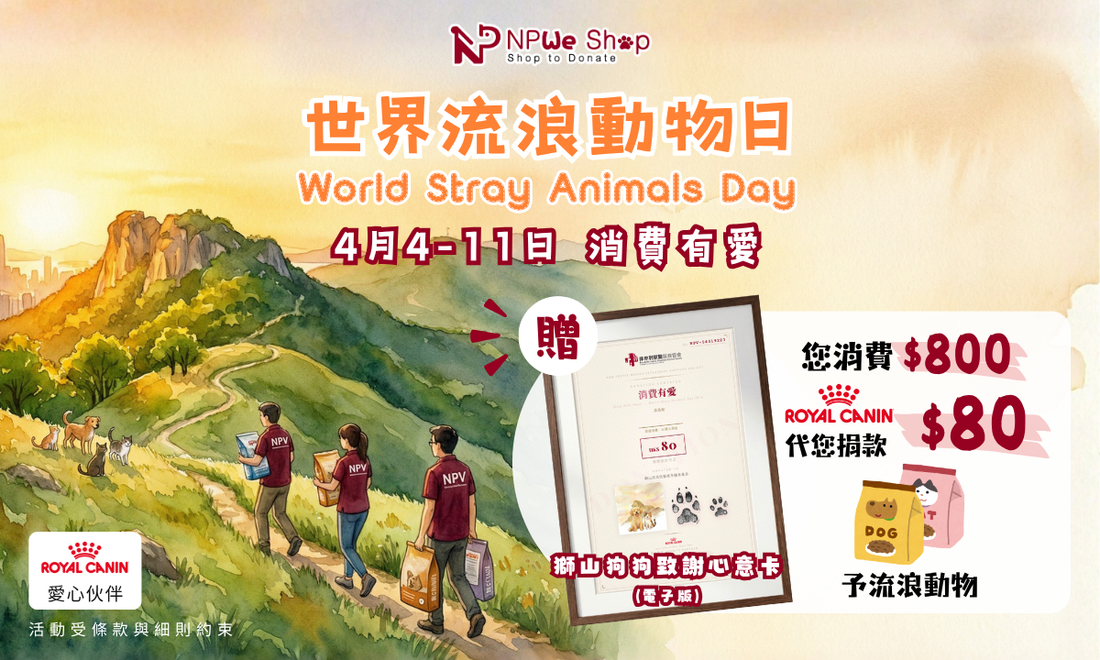 消費有愛💗！4.4 世界流浪動物日 — 每一筆訂單，都是在對流浪動物的守護