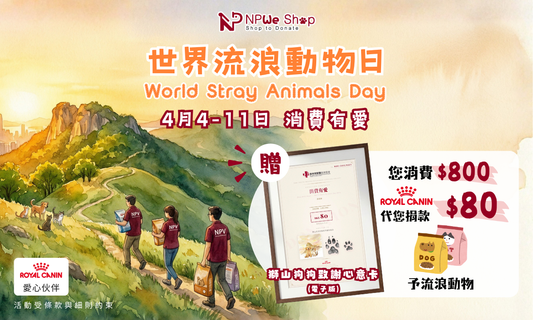 消費有愛💗！4.4 世界流浪動物日 — 每一筆訂單，都是在對流浪動物的守護