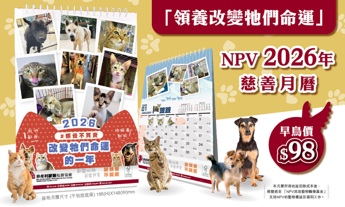 「領養改變牠們命運」 NPV2026年慈善月曆