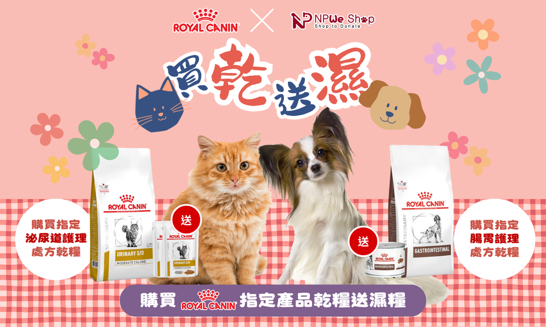 🌓乾濕混餵好處多，營養滋味齊升級⬆️