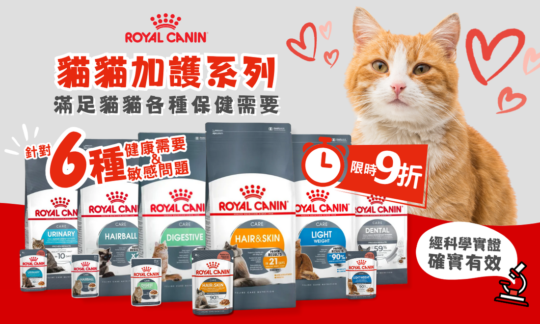 🐾📘為食貓日記：貓界養生之道😸🌱(優惠已結束)