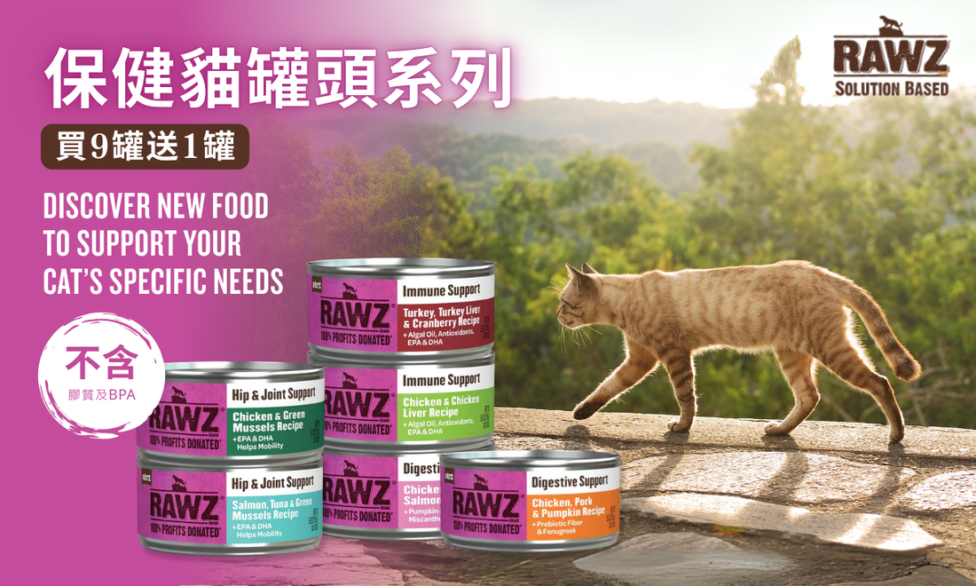 💞一份貓罐兩份愛，給貓咪最好嘅天然營養🐈(優惠已結束)