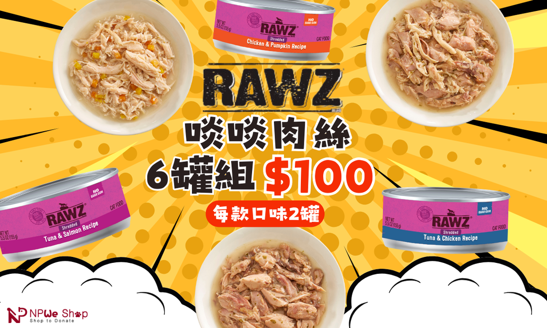 食肉獸喜訊🥩海陸盛宴貓罐組合登場🌊