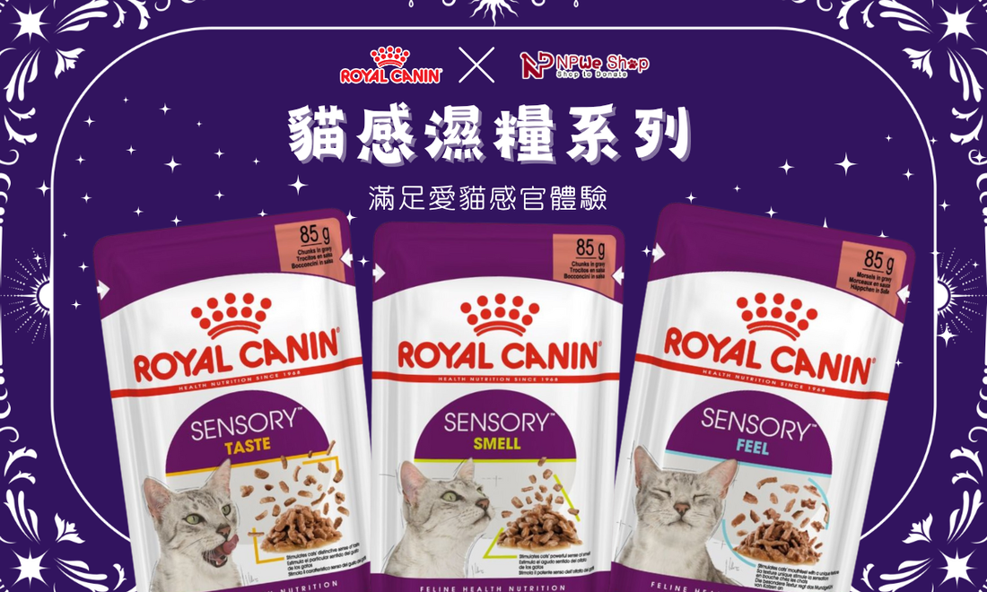 🐾📘為食貓日記：貓界感官漫遊🛰️