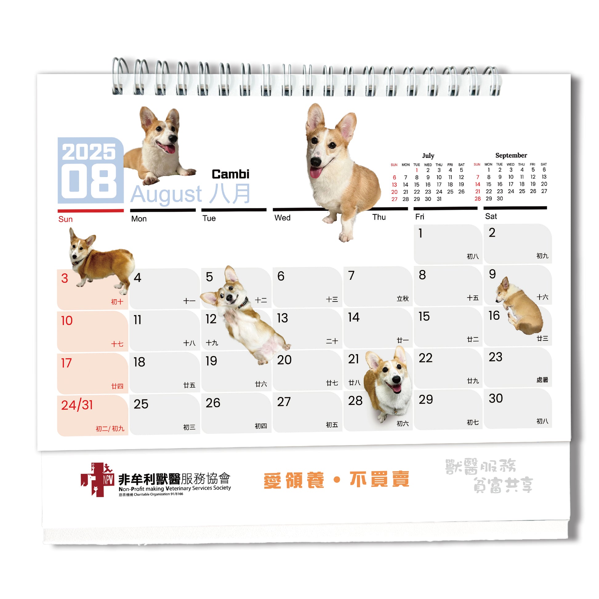 Show Your Pet's Story show-your-pet-s-story-npv-2025-charity-calendar-npwe-shop
