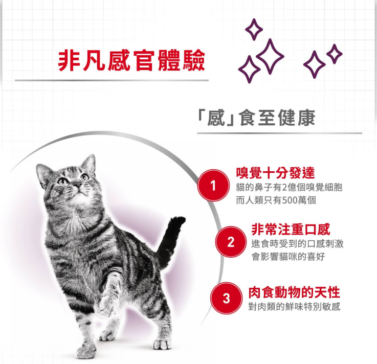 FOTC Royal Canin Feline; Sensory Taste Gravy Pouch; 貓感系列成貓鮮味營養袋裝濕糧(肉汁) 12包