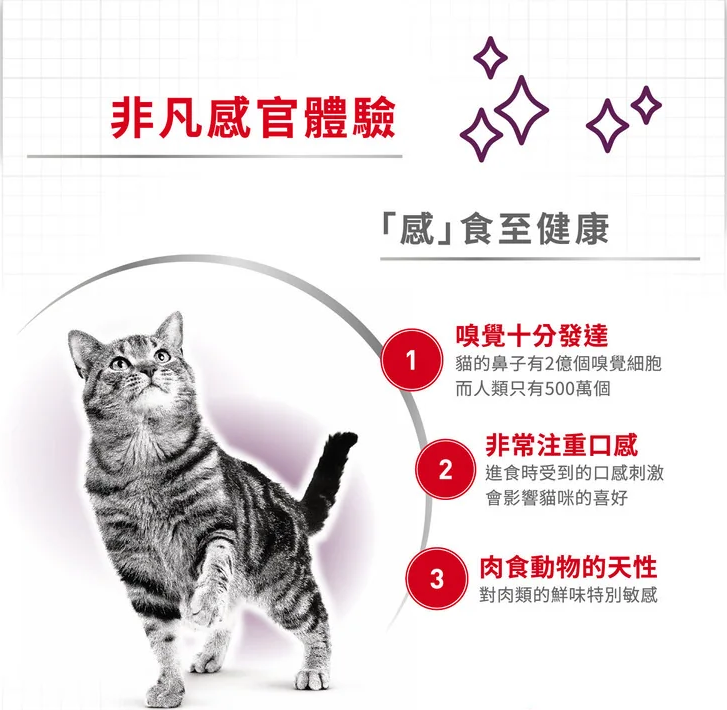 FOTC Royal Canin Feline; Sensory Smell Gravy Pouch; 貓感系列成貓肉香營養袋裝濕糧(肉汁) 12包