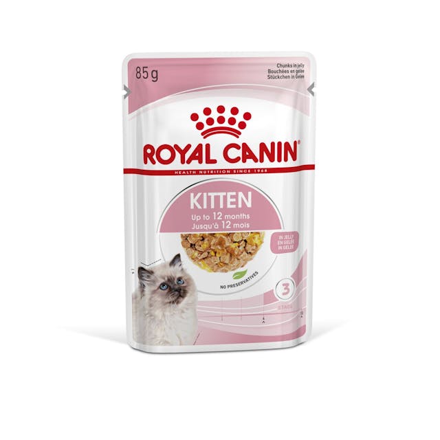 FOTC Royal Canin Feline; Kitten Wet (Jelly); kitten nutritional staple wet food (jelly)