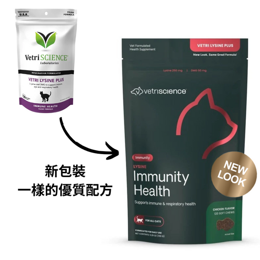 OTC VetriScience Feline; Vetri Lysine Plus Chews; 貓用強化免疫系統咀嚼片