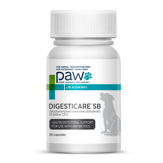 OTC PAW Canine; DigestiCare SB Capsules; 狗用腸道護理益生菌膠囊
