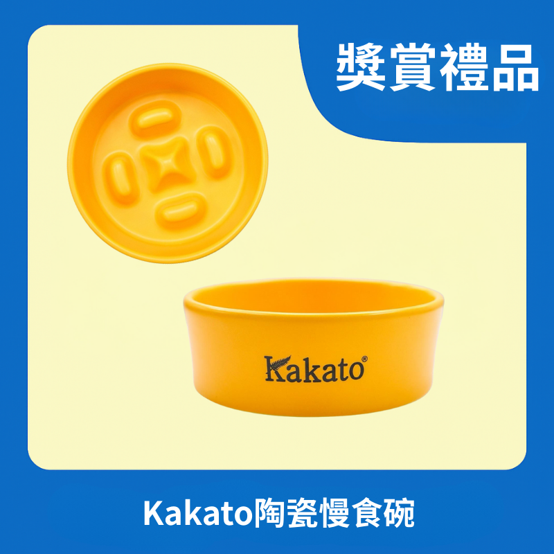 [獎賞禮品] Kakato 陶瓷慢食碗 (黃色)