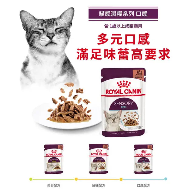 FOTC Royal Canin Feline; Sensory Feel Gravy Pouch; 貓感系列成貓口感營養袋裝濕糧(肉汁) 12包