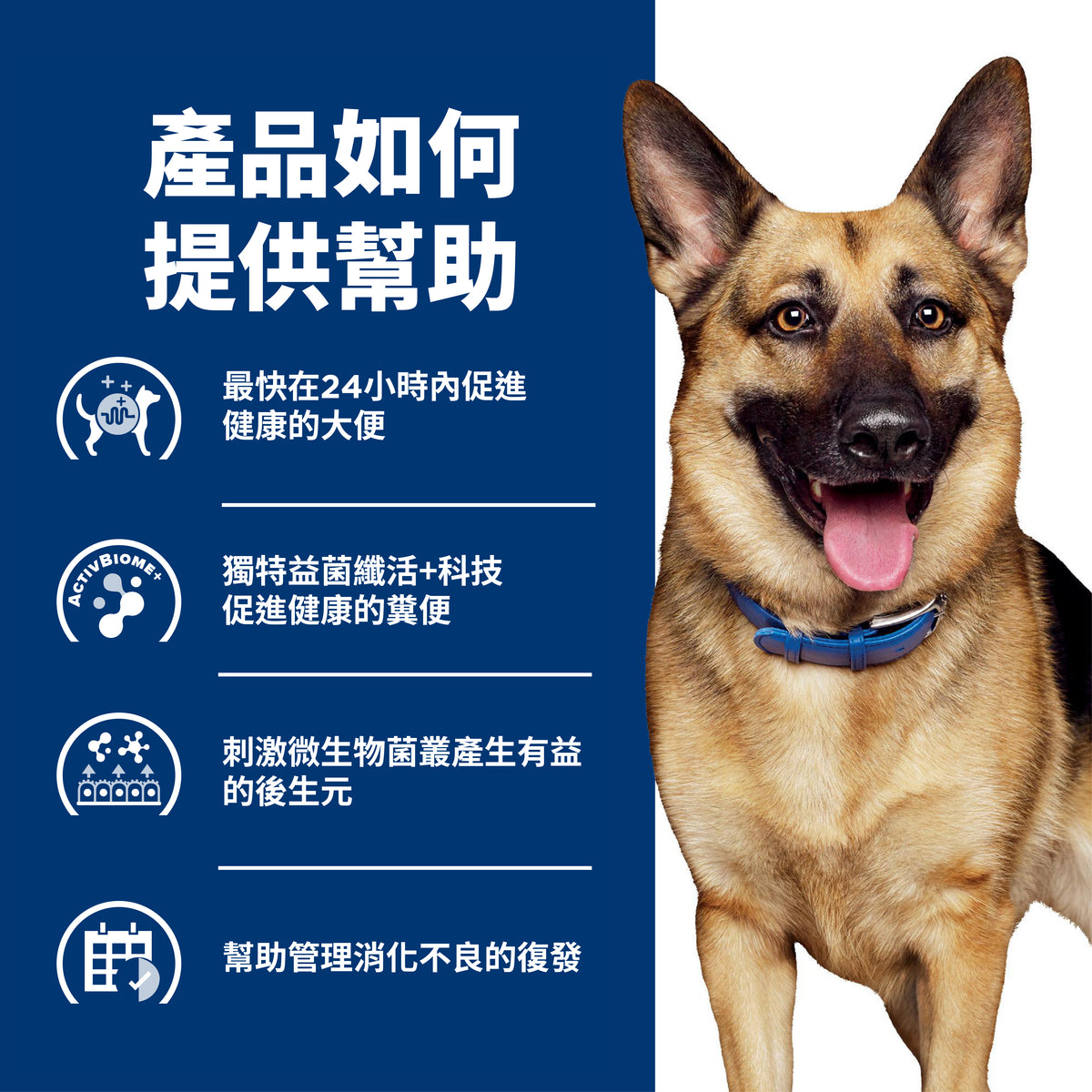 Hill's Canine; Gastrointestinal Biome Chicken & Vegetable Stew Canned; 希爾思™處方食品 犬用GI Biome健康腸菌叢處方罐頭（雞肉燉蔬菜味）12罐