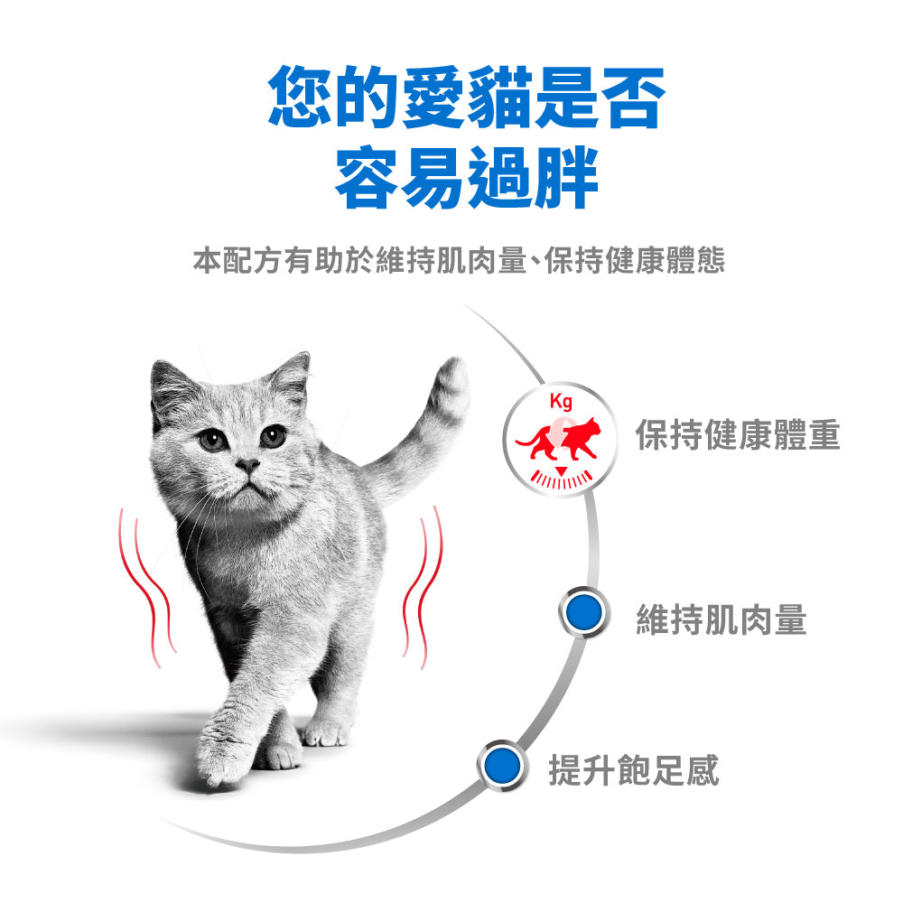 FOTC Royal Canin Feline; Light Weight Care AIRLIFT™ mousse ; 成貓體重控制加護慕絲罐頭