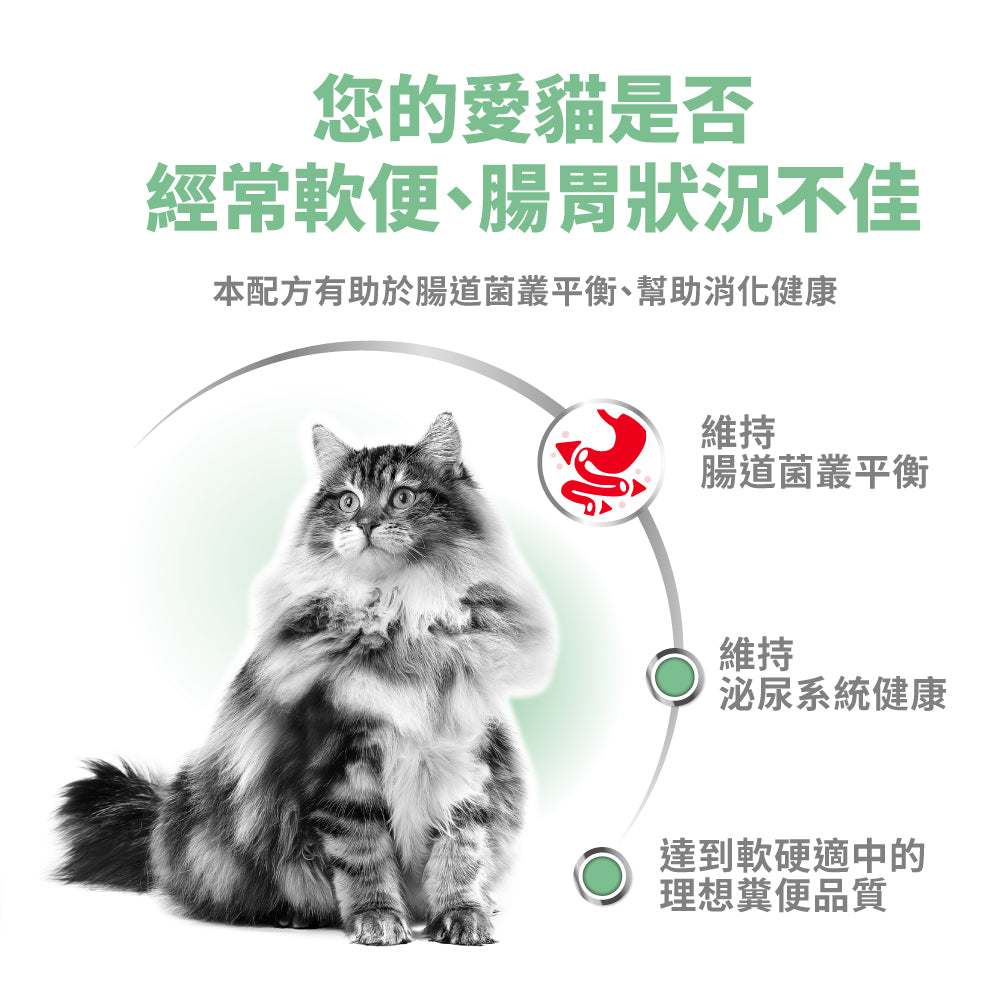 FOTC Royal Canin Feline; Digestive Care AIRLIFT™ mousse ; 成貓消化道加護慕絲罐頭