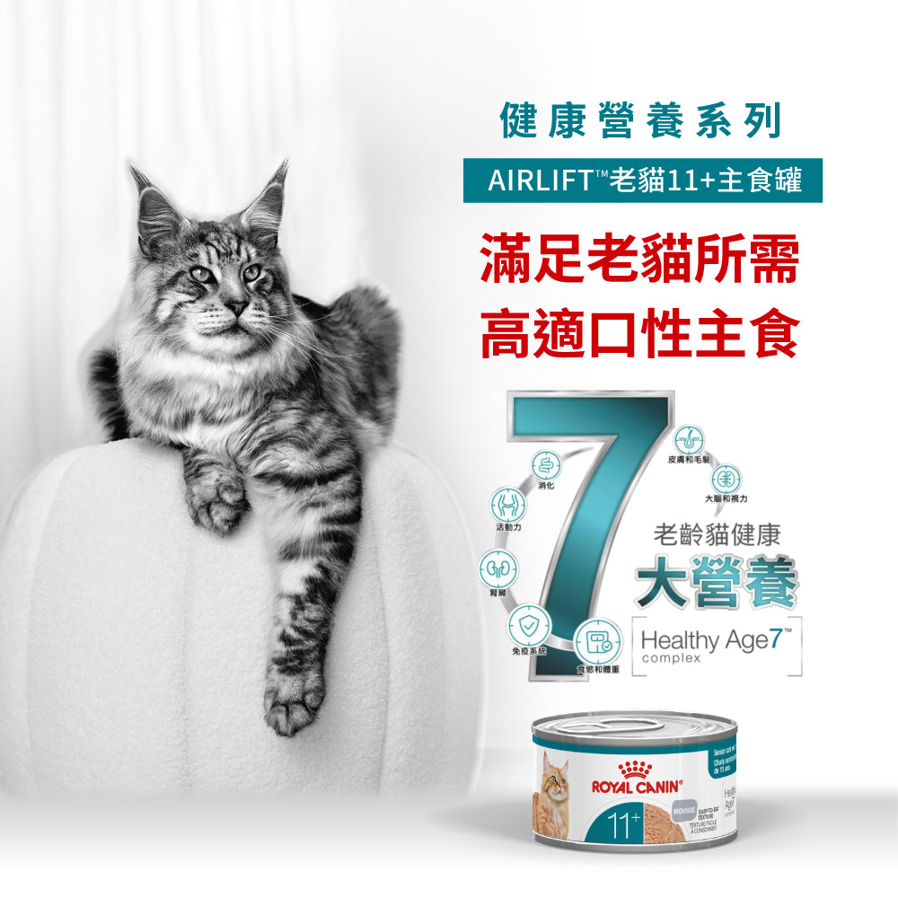 FOTC Royal Canin Feline; Ageing 11+ Ultra Soft Mousse ; 老貓11+慕絲罐頭