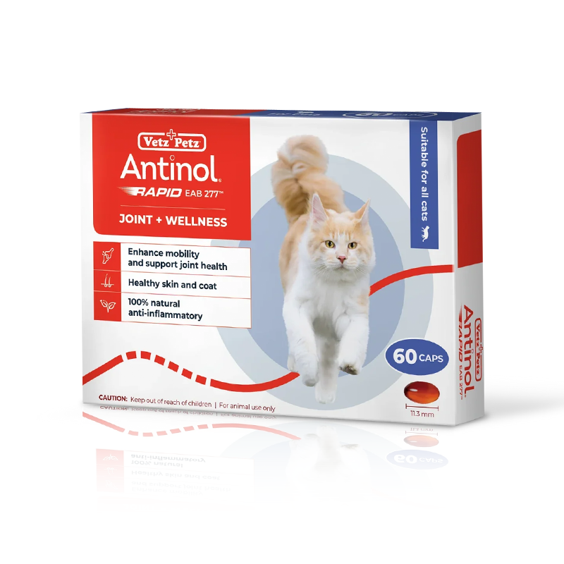 OTC Antinol Rapid EAB277 for Cats Extra strong joint pills for cats