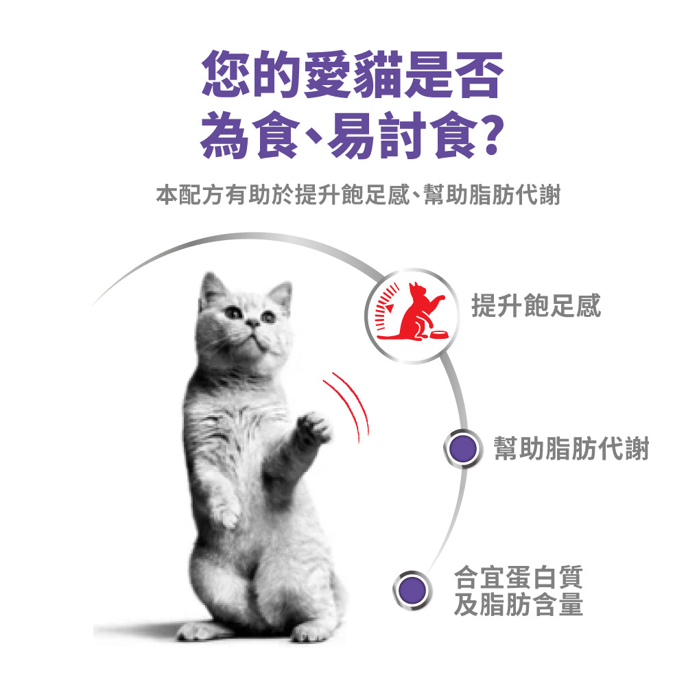 FOTC Royal Canin Feline; Appetite Control AIRLIFT™ mousse ; 為食成貓加護慕絲罐頭