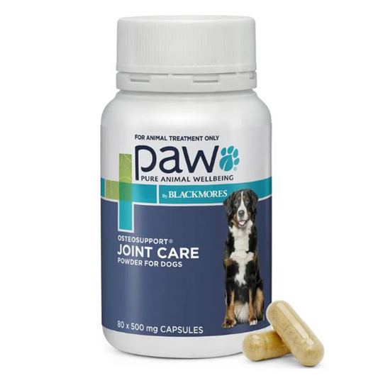 OTC PAW joint supplement pills for dogs 500g