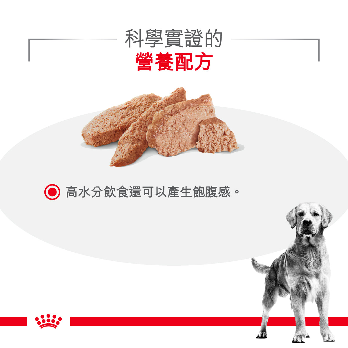 Royal Canin Canine; Glycobalance Low Carbohydrate Canned; 成犬糖尿病控糖處方罐頭 12罐