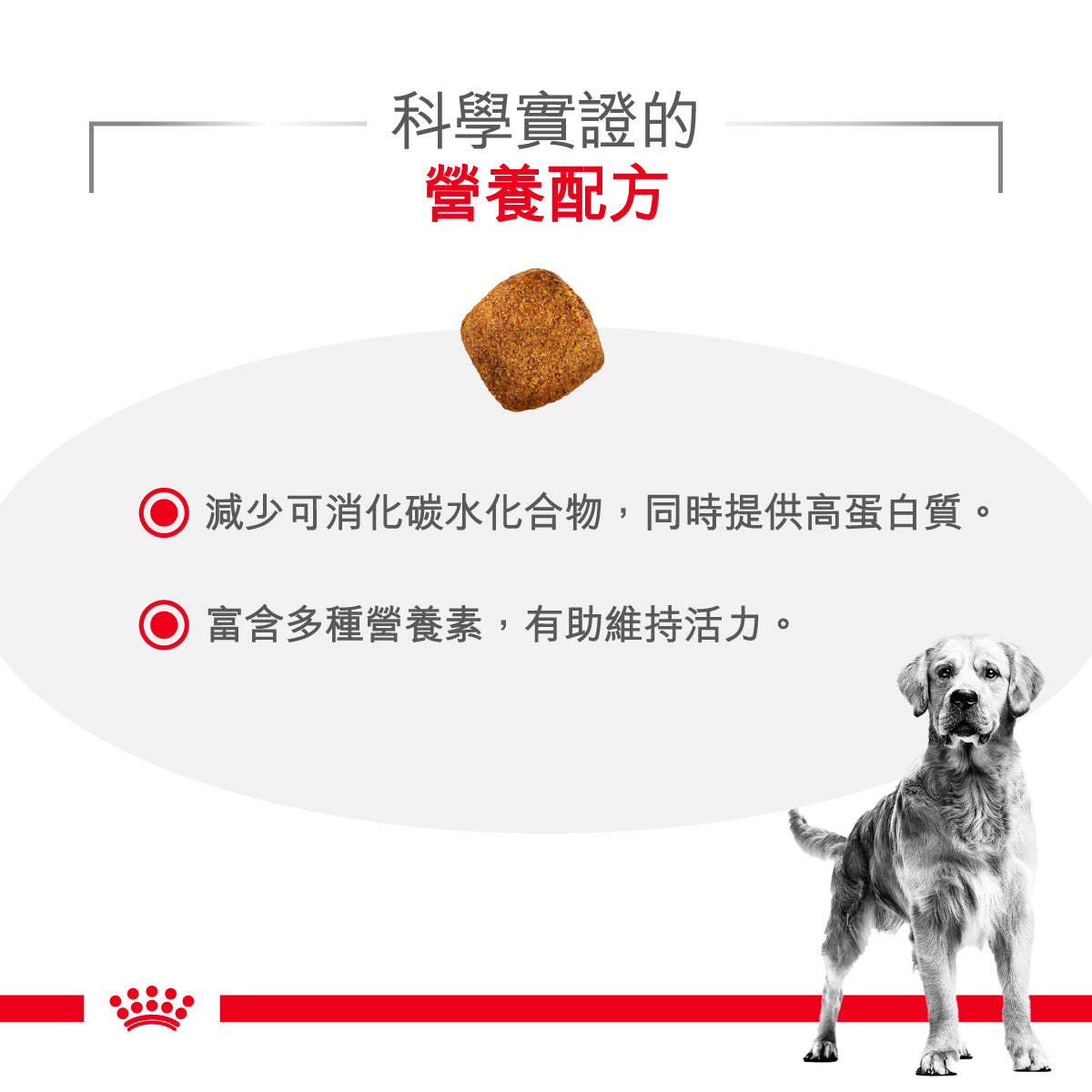 Royal Canin Canine; Diabetic; 成犬糖尿病處方