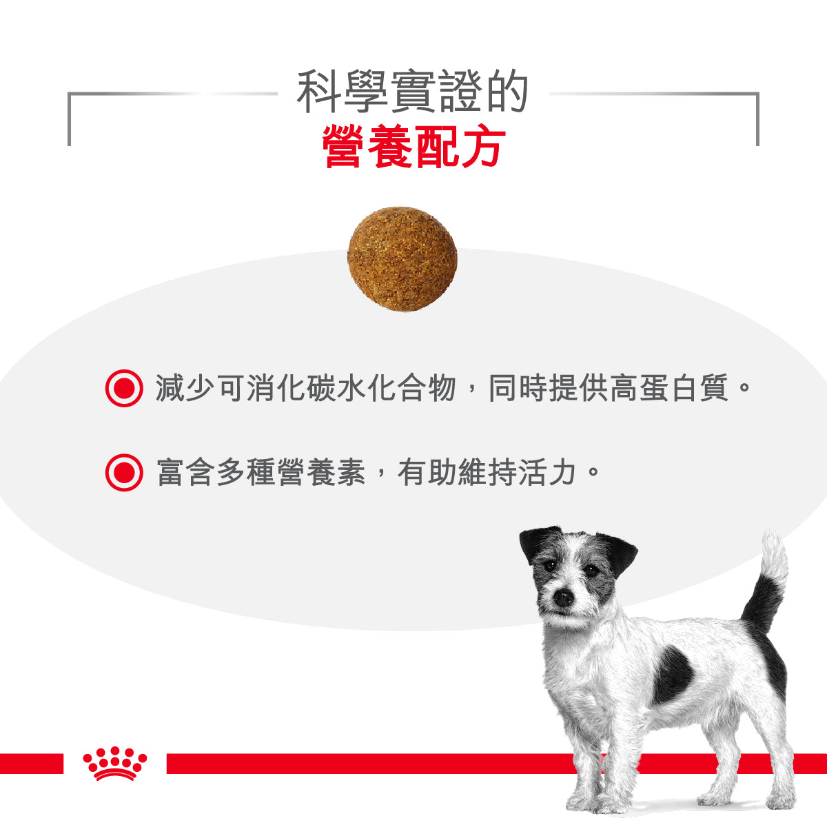 Royal Canin Canine; Glycobalance Small Dog; 小型成犬糖尿病控糖處方