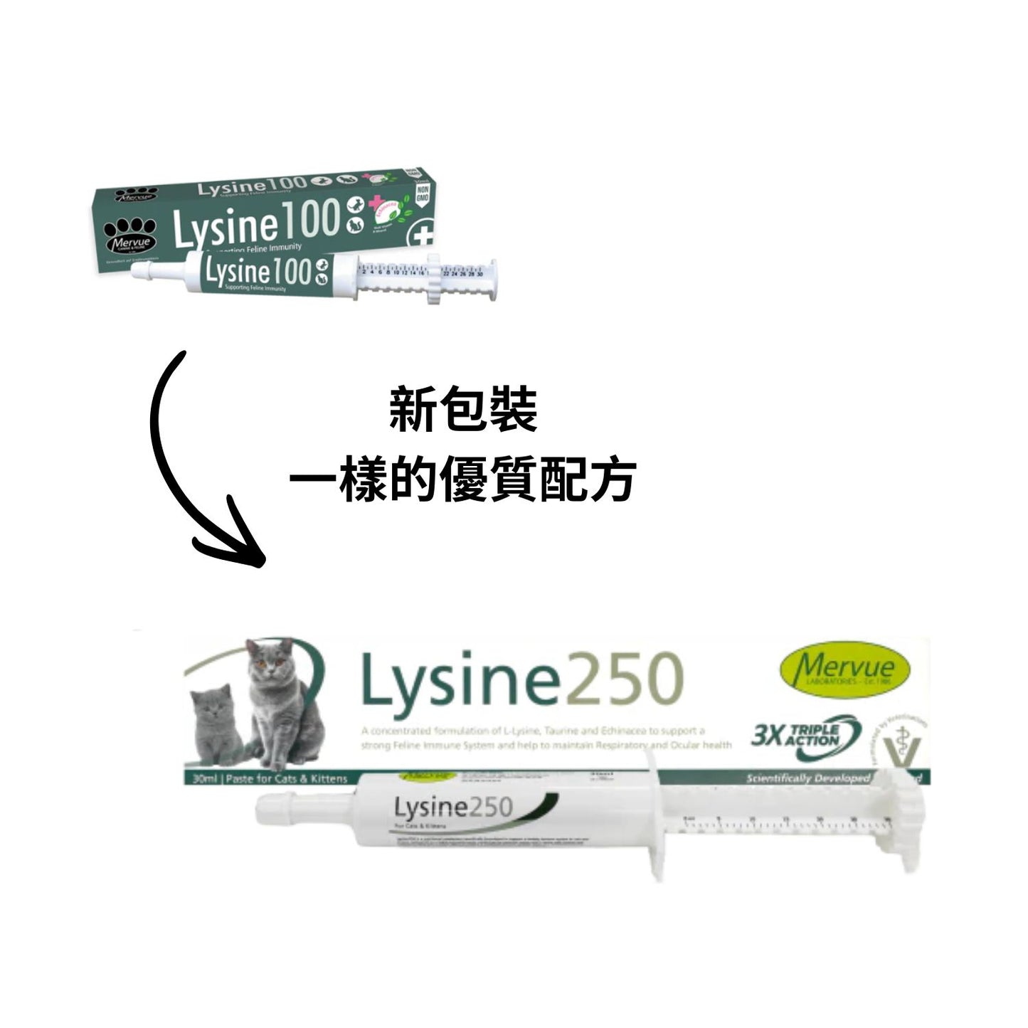 OTC Mervue Feline; Lysine 250; 貓用離胺酸免疫力補充劑