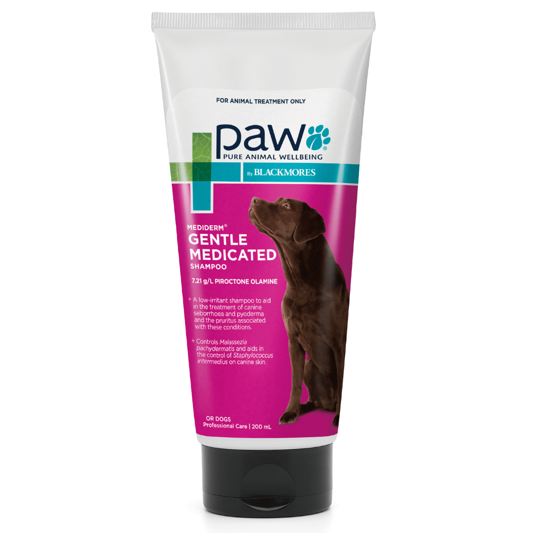 OTC PAW Canine; MediDerm Gentle Medicated Shampoo; 狗用溫和藥用洗髮水