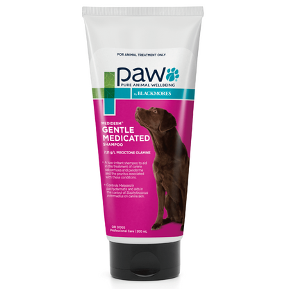 OTC PAW Canine; MediDerm Gentle Medicated Shampoo; 狗用溫和藥用洗髮水