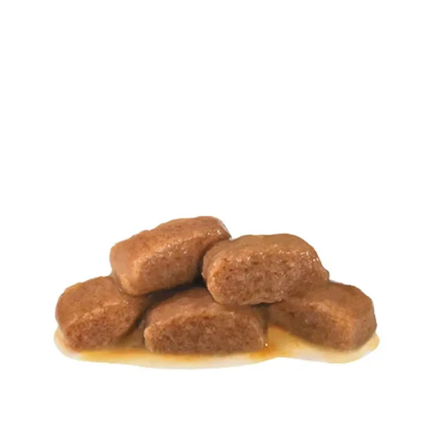 Royal Canin Feline; Gastrointestinal Fibre Response Gravy Pouch; 成貓腸胃高纖易消化袋裝濕糧(肉汁)