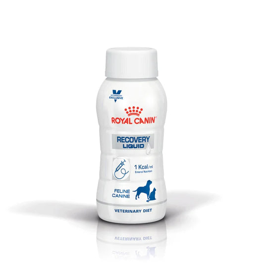 Royal Canin Feline & Canine; Recovery Liquid; ICU重症營養處方營養液 (貓/犬用) 3瓶