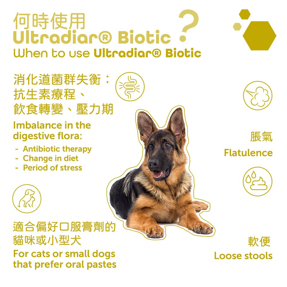 OTC MP LABO Canine & Feline Ultradiar® Biotic 益生菌腸道保健口服調理膏 (貓犬適用)