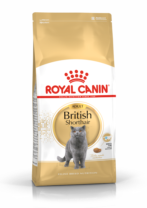 FOTC Royal Canin Feline; British Shorthair Adult; 英國短毛成貓專用配方