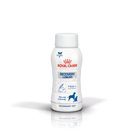 Royal Canin Feline & Canine; Recovery Liquid (Dog & Cat); ICU重症營養處方營養液（貓/犬用） 3瓶