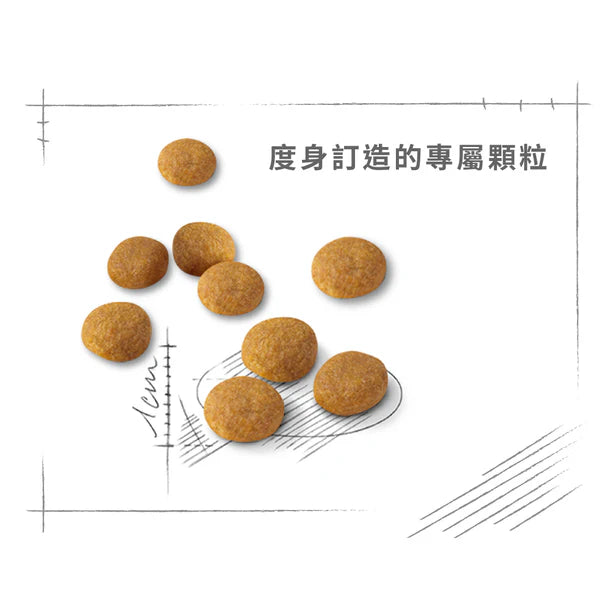 FOTC Royal Canin Feline; Preference Aroma Exigent; 成貓濃郁香味挑嘴配方