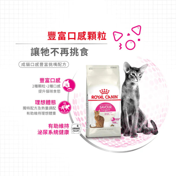 FOTC Royal Canin Feline; Preference Savour Exigent; 成貓口感豐富挑嘴配方