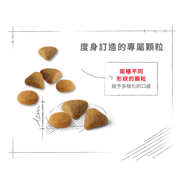 FOTC Royal Canin Feline; Preference Savour Exigent; 成貓口感豐富挑嘴配方