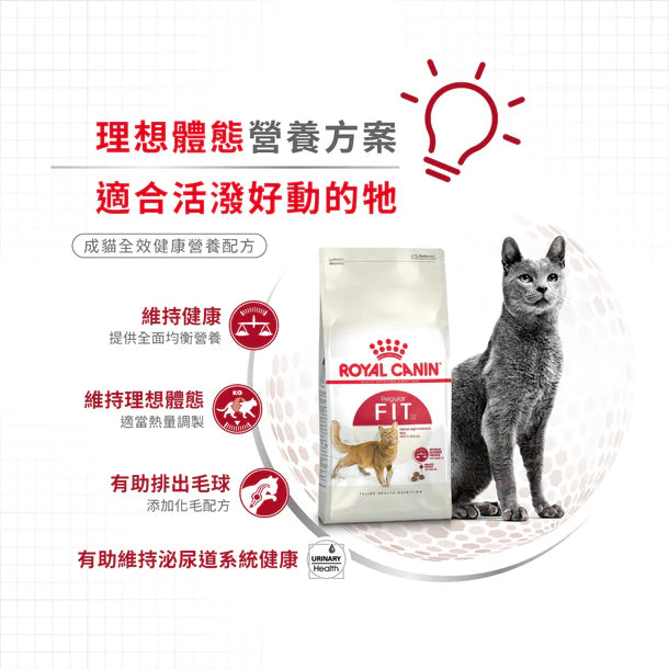 FOTC Royal Canin Feline; Regular Fit; 成貓全效健康營養配方